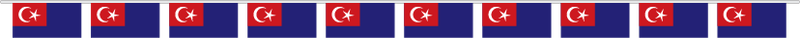 Malaysia Bunting